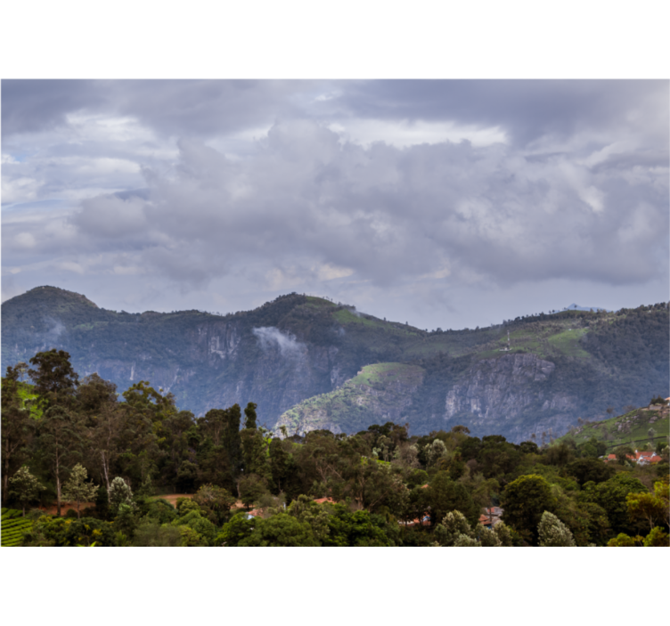 Fotomurale paesaggi vista montagna serena - TenStickers