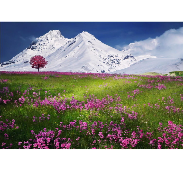 Fotomurali natura montagne innevate in fiore - TenStickers