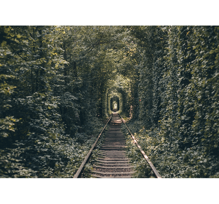 Fotomurale paesaggi tunnel ferroviario natura - TenStickers