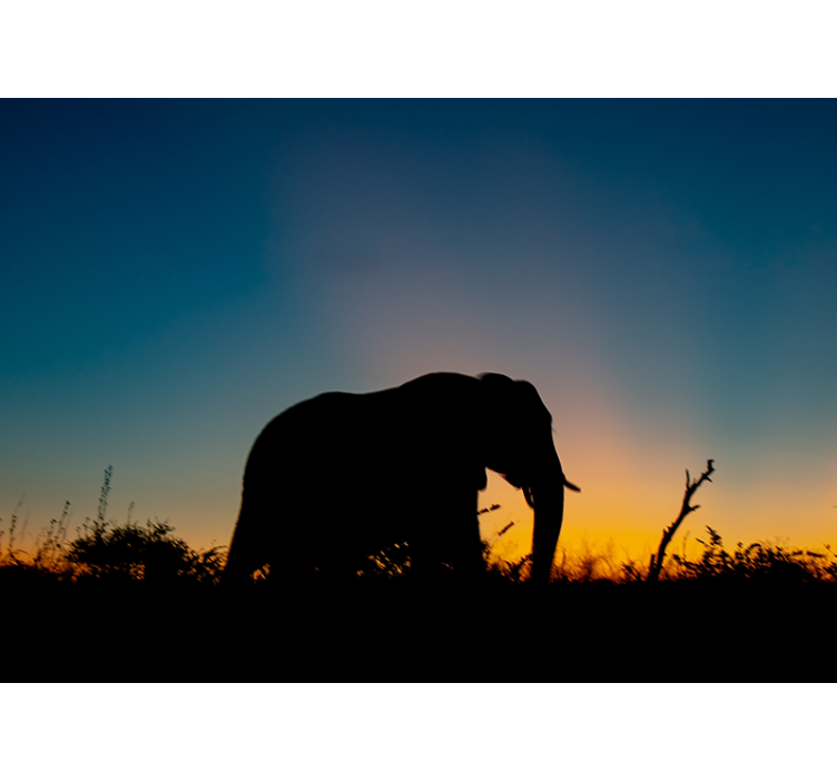 Fotomurale animali silhouette di elefante al tramonto - TenStickers