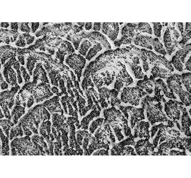 Fotomurale textures motivo texture organica - TenStickers