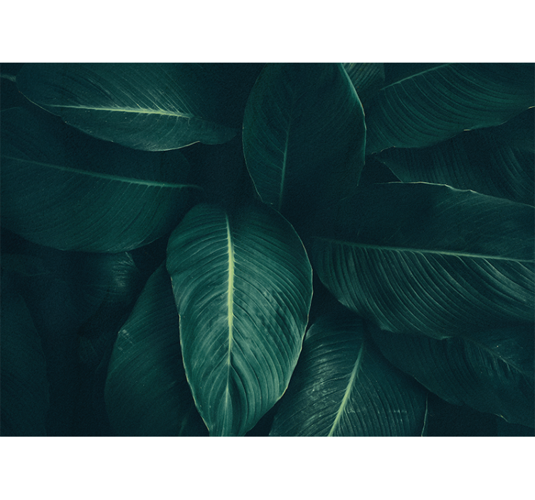 Fotomurali natura texture fogliosa lussureggiante - TenStickers