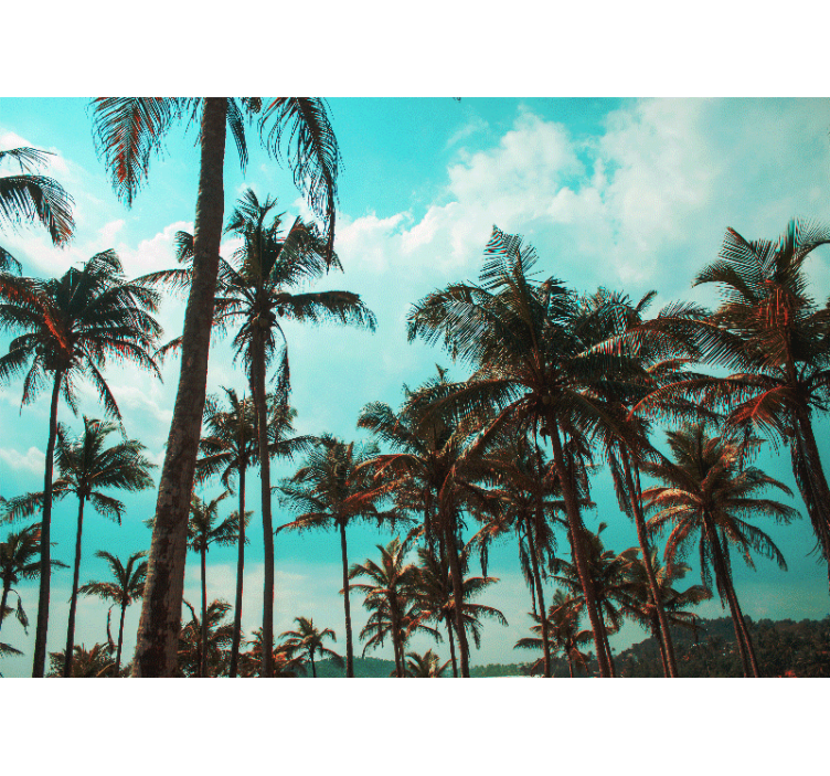 Fotomurali natura paradiso delle palme - TenStickers