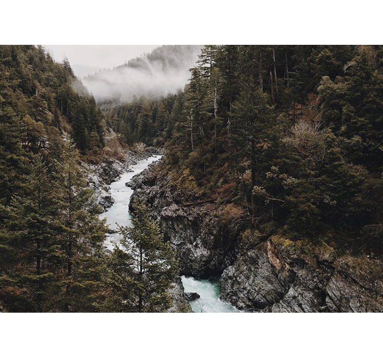 Fotomurali natura paesaggio fluviale maestoso - TenStickers