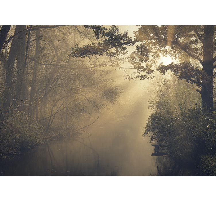 Fotomurali natura paesaggio forestale luminoso - TenStickers