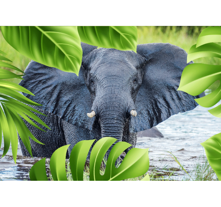 Fotomurale animali esperienza dell'elefante regal - TenStickers