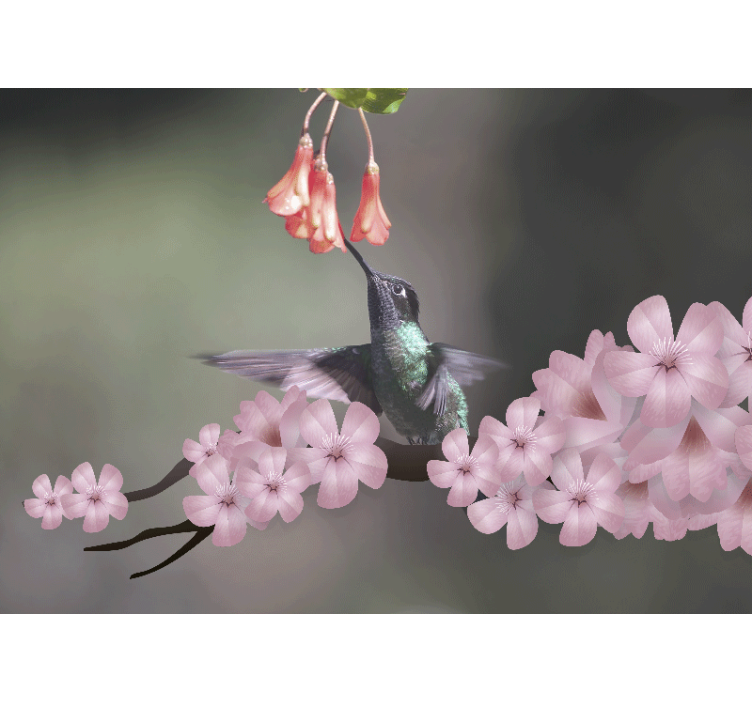 Fotomurale animali colibrì e fiori - TenStickers