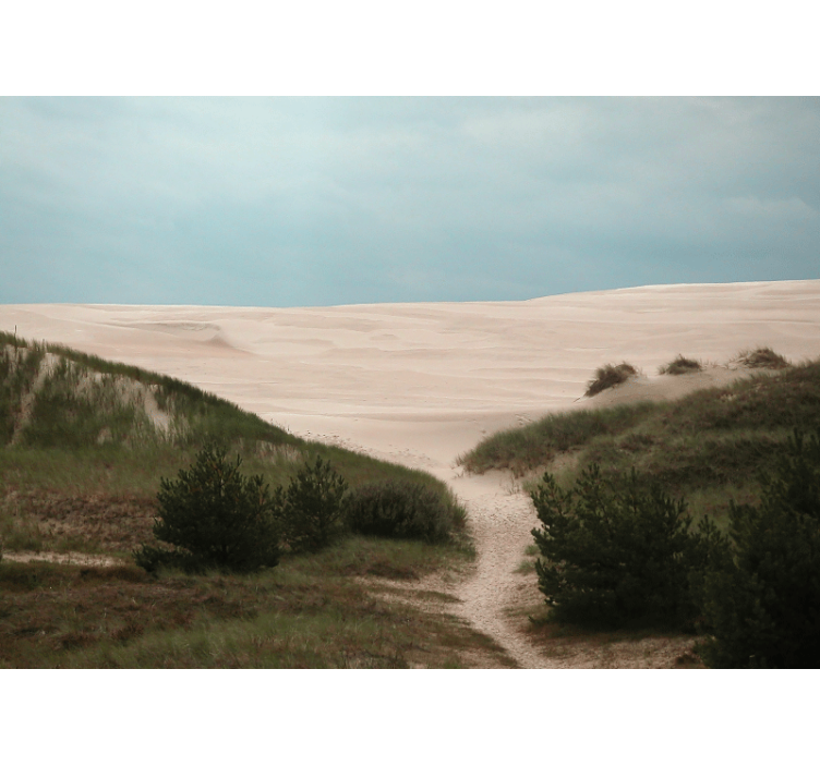 Fotomurale paesaggi sentiero delle dune di sabbia - TenStickers