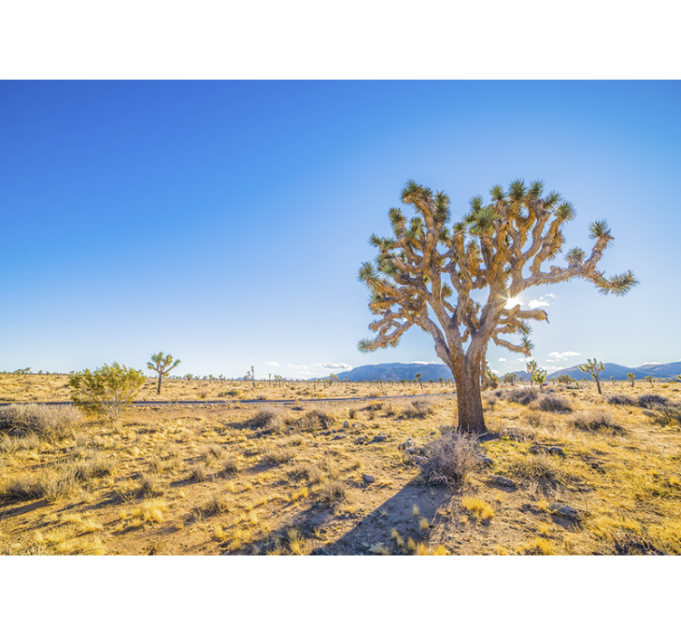 Fotomurale montagna paesaggio di joshua tree - TenStickers