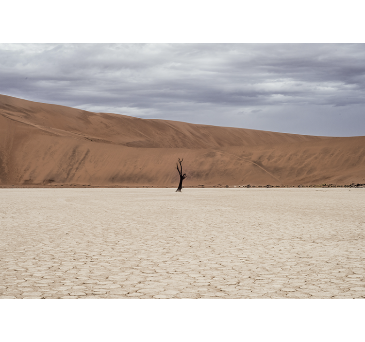 Fotomurale montagna paesaggio desertico - TenStickers