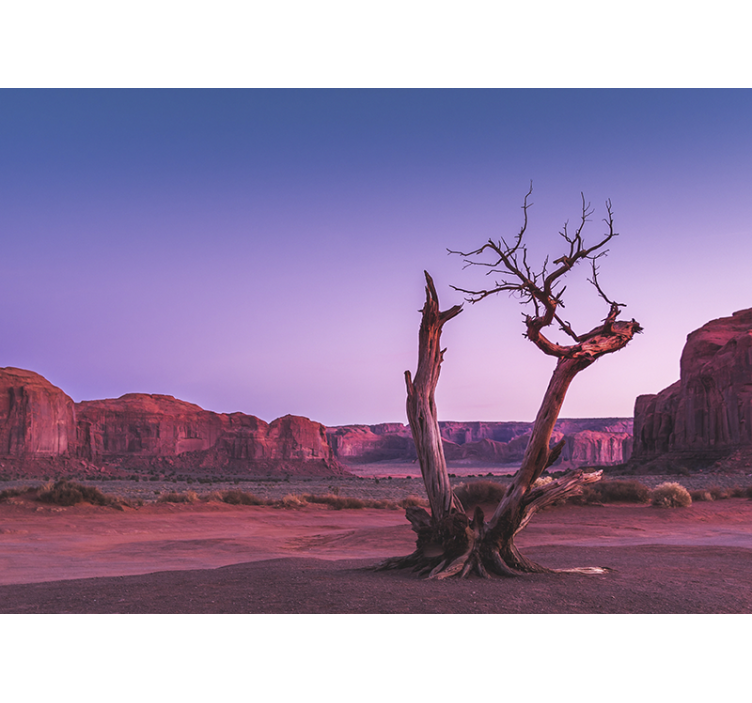 Fotomurale paesaggi struttura di pietra nel deserto - TenStickers