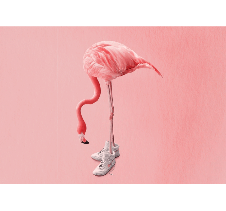 Fotomurali animali diversi flamingo con sneakers - TenStickers