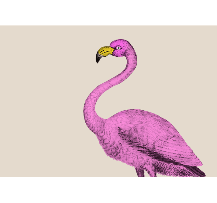 Fotomurale animali eleganza del fenicottero rosa - TenStickers