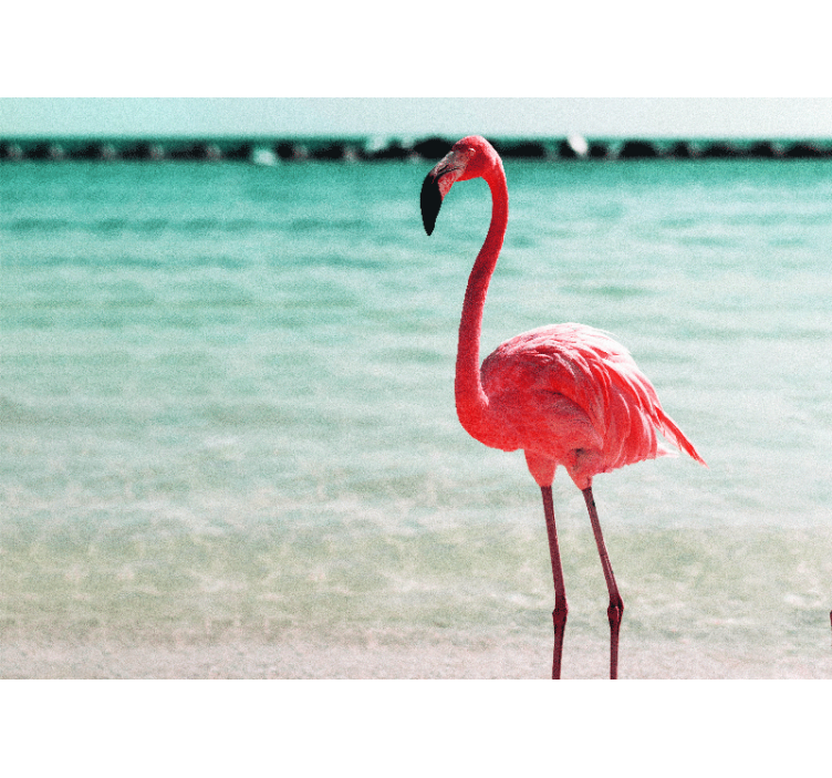 Fotomurale animali posizione elegante del flamingo - TenStickers