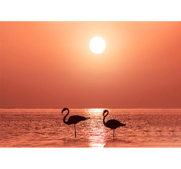 Fotomurale animali scena tramonto fenicotteri - TenStickers