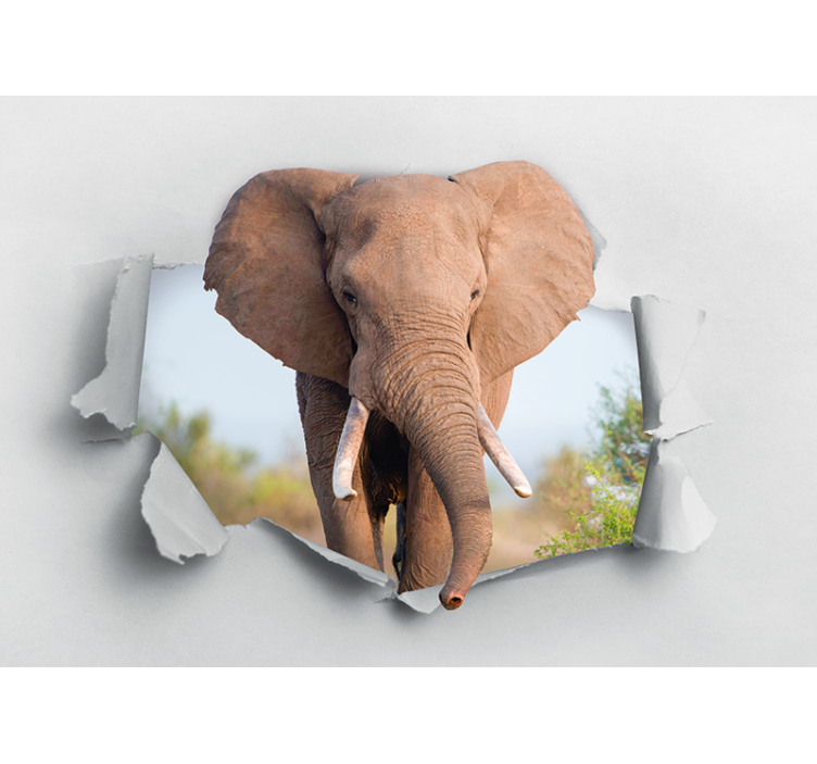 Fotomurale animali ritratto di elefante maestoso - TenStickers