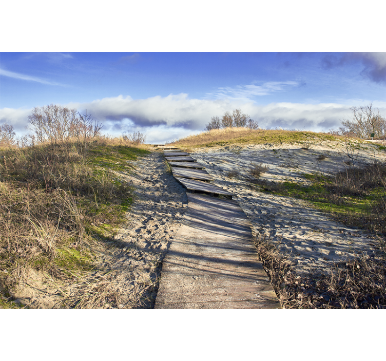 Fotomurale paesaggi sentiero di legno - TenStickers