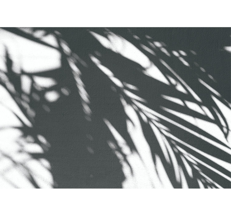 Fotomurali natura motivi di palme in ombra - TenStickers