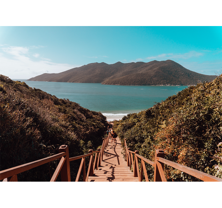 Fotomurale paesaggi sentiero oceano sereno - TenStickers