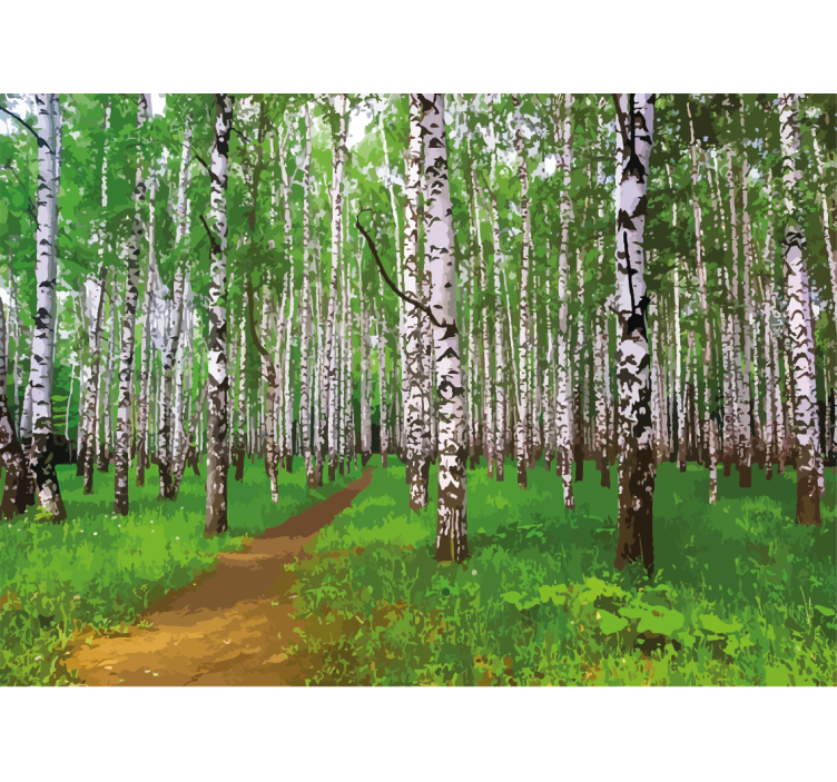 Fotomurali natura sentiero nel bosco di betulle - TenStickers