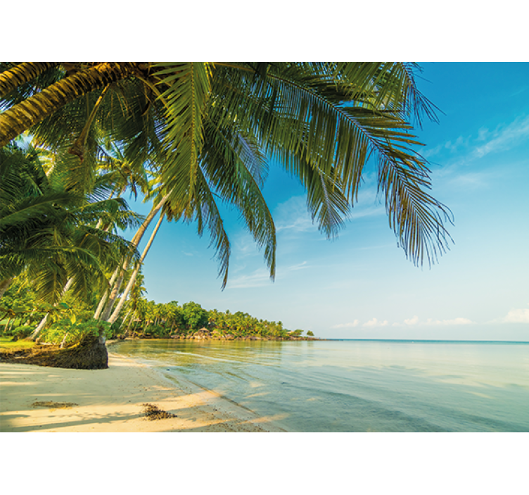 Fotomurali natura spiaggia tranquilla - TenStickers