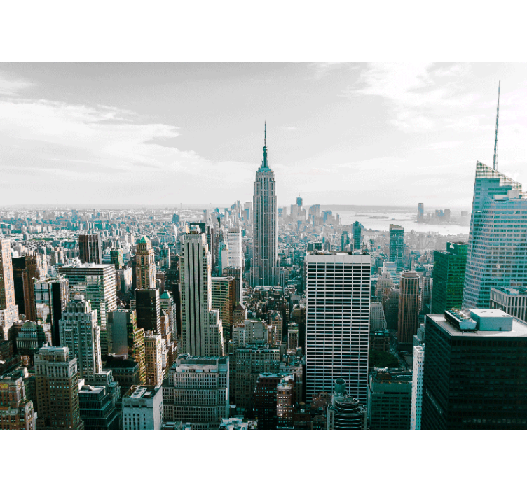 Fotomurale new york skyline iconico - TenStickers