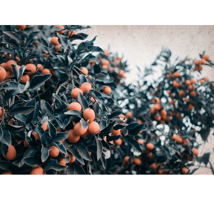 Fotomurale fiori ramo di agrumi - TenStickers