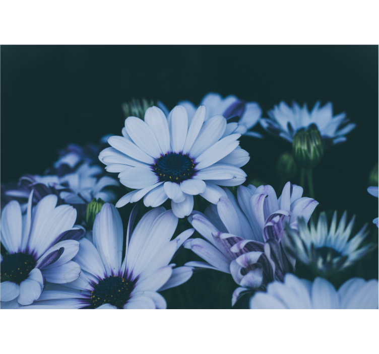 Fotomurale fiori composizione floreale serena - TenStickers