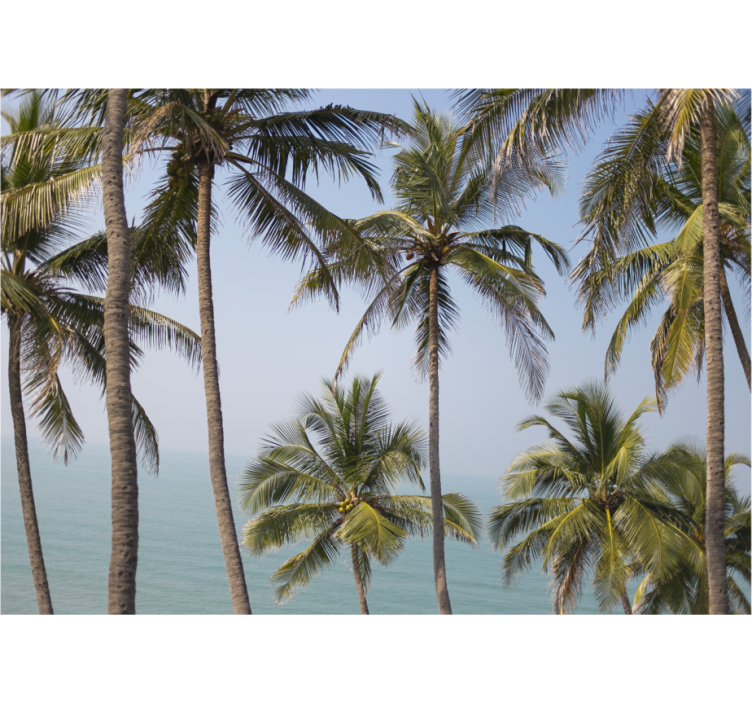 Fotomurali natura paesaggio di palme - TenStickers