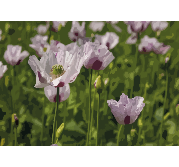 Fotomurale papaveri eleganza floreale - TenStickers