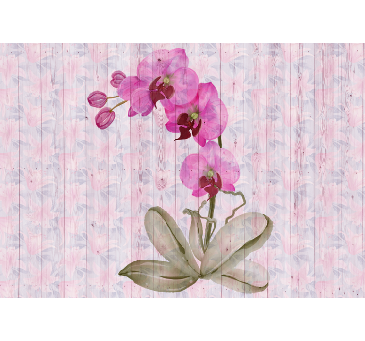 Fotomurale fiori fioriture di orchidee rosa - TenStickers