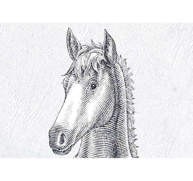 Fotomurale animali ritratto di cavallo elegante - TenStickers