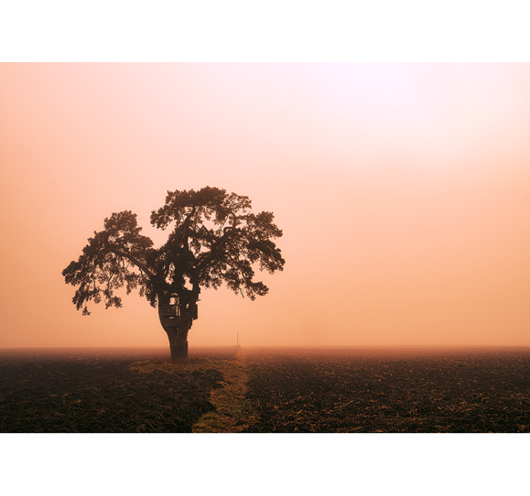 Fotomurale africano maestoso albero della savana - TenStickers