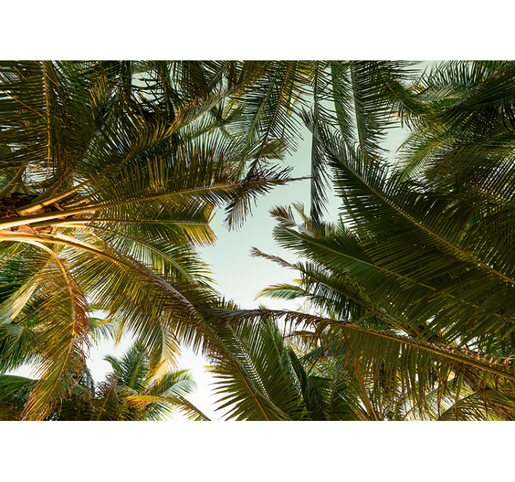 Fotomurali natura copertura di palme tropicali - TenStickers