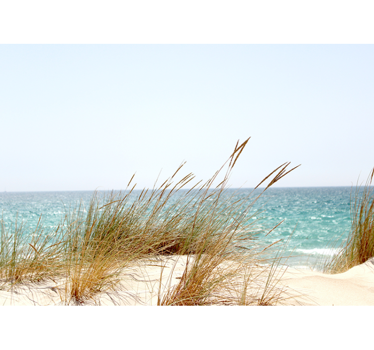 Fotomurali natura vista di una riva tranquilla - TenStickers