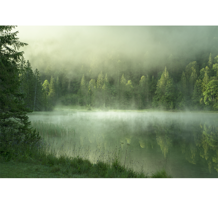 Fotomurali natura riflesso di lago misty - TenStickers