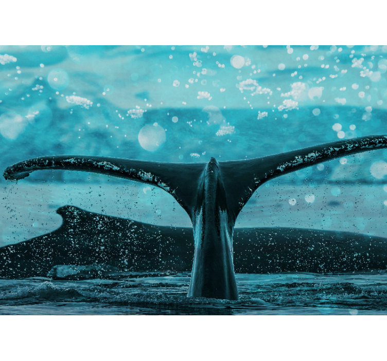 Fotomurale animali splash della pinna della balena - TenStickers