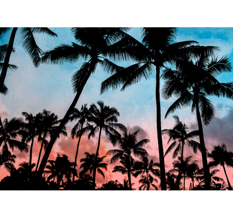 Fotomurali natura ombre di palme tropicali - TenStickers