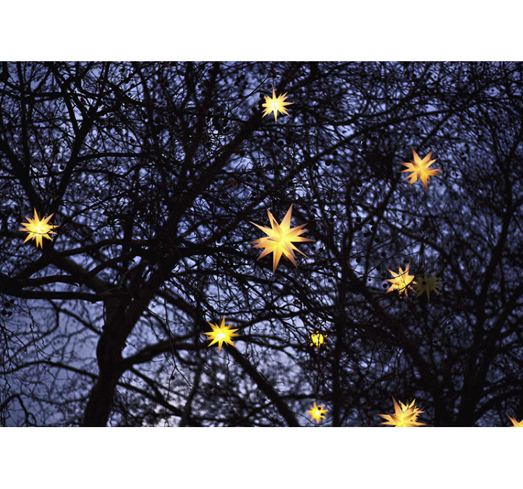 Fotomurale di natale notte stellata dorata - TenStickers