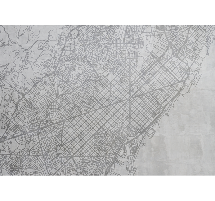 Fotomurale città mappa dettagliata della città - TenStickers