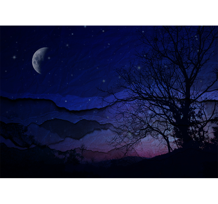 Fotomurale cielo notte di luna piena - TenStickers