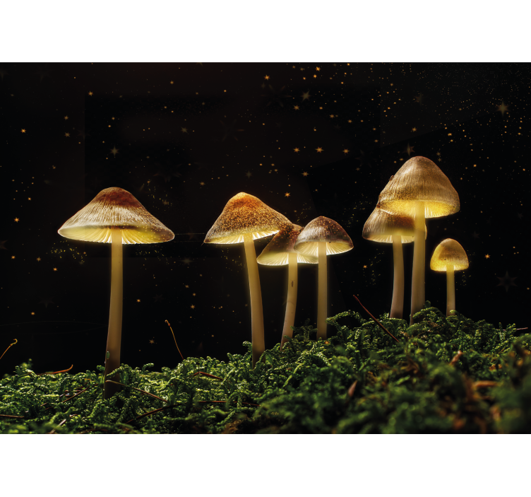 Fotomurali natura scena di funghi luminosi - TenStickers