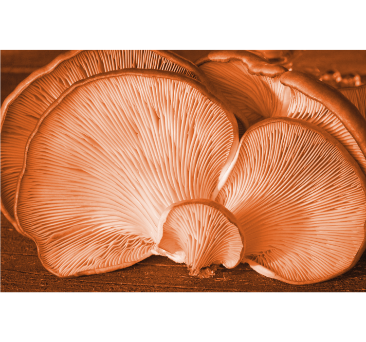 Fotomurale fiori effetto texture fungo - TenStickers