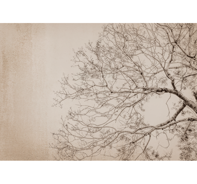 Fotomurale alberi silhouette ramificata bella - TenStickers