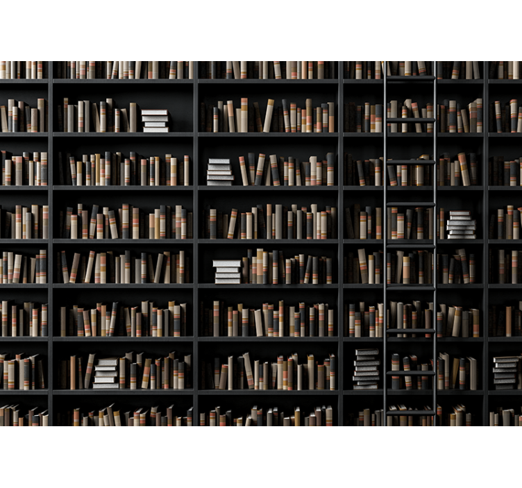 Fotomurali pietra assortimento di libri biblioteca - TenStickers