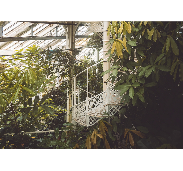 Fotomurali natura oasi di verde lussureggiante - TenStickers