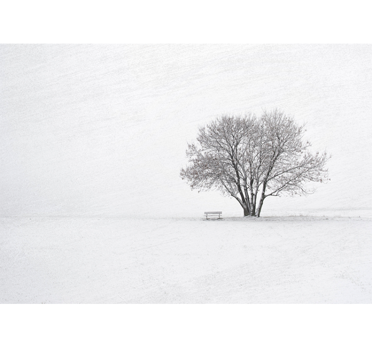 Fotomurali natura albero solitario innevato - TenStickers
