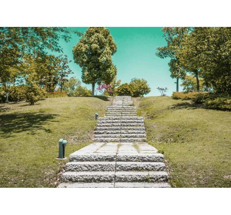 Carta da parati natura scala nella natura - TenStickers