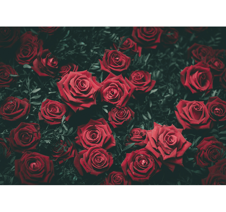Fotomurale fiori rose rosse romantiche - TenStickers