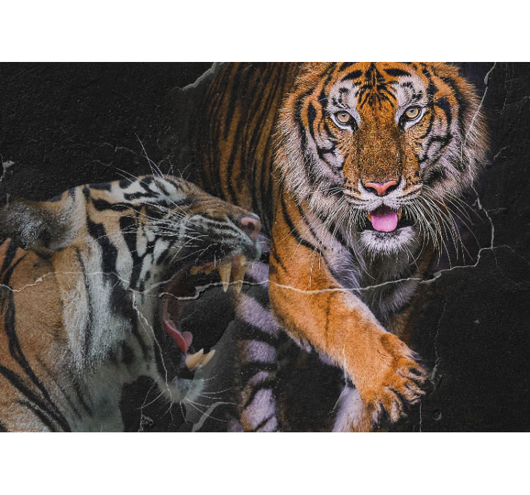 Fotomurale animali incontro con il tigre maestoso - TenStickers